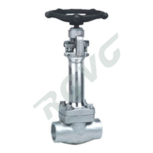 DZ11H、DZ11Y 150-800Lb鍛鋼低溫閘閥